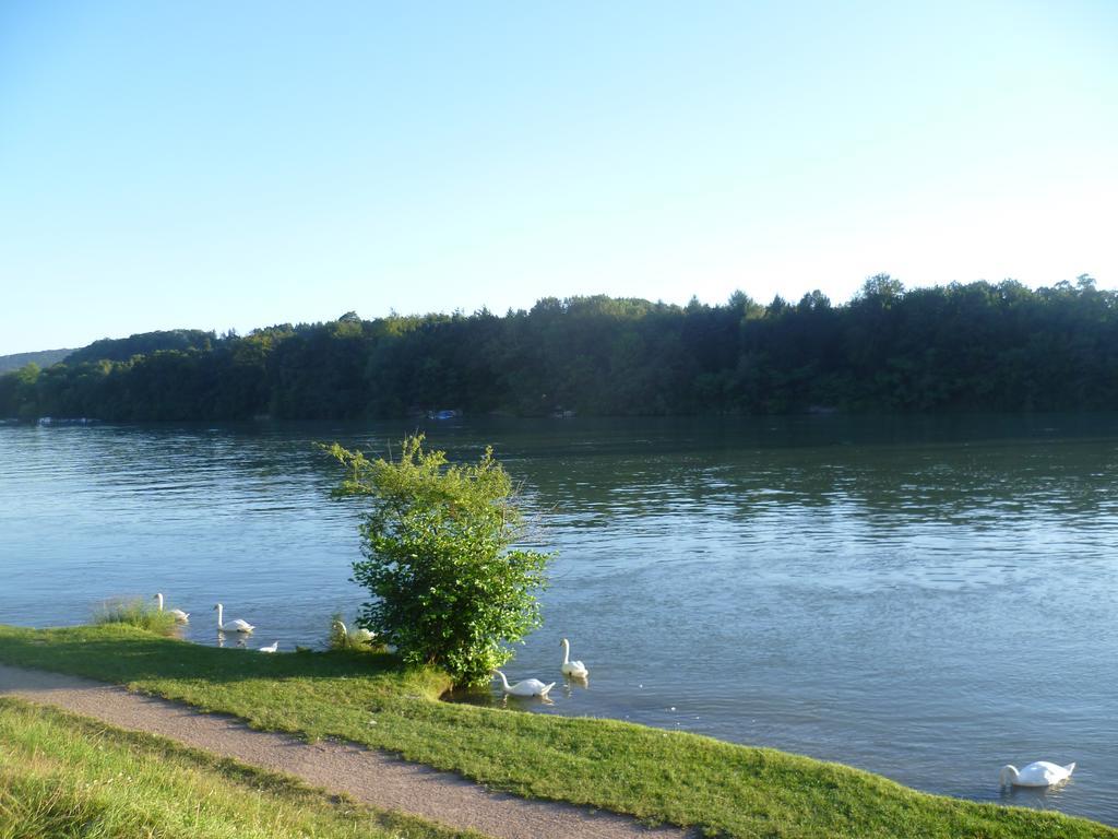 Storchennest Bad Säckingen Exterior foto