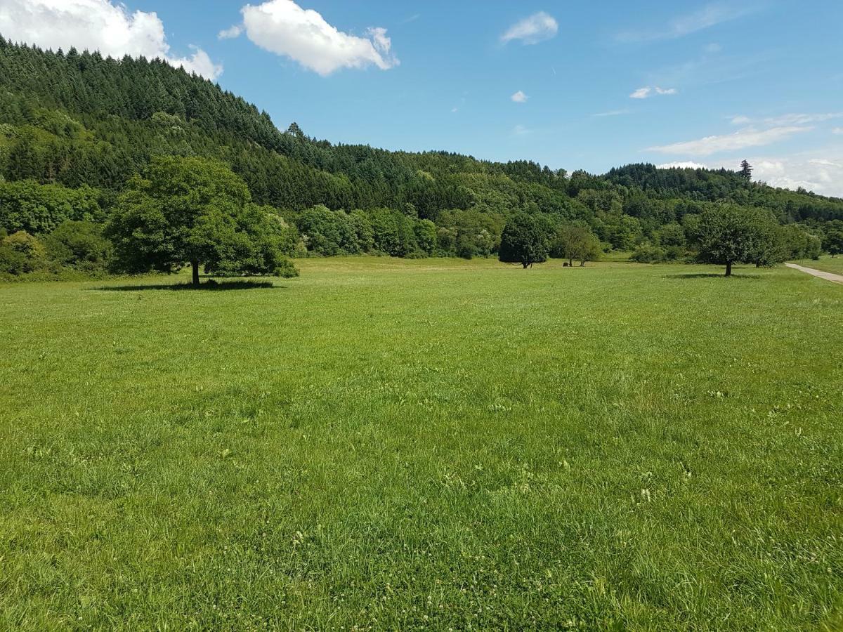 Storchennest Bad Säckingen Exterior foto